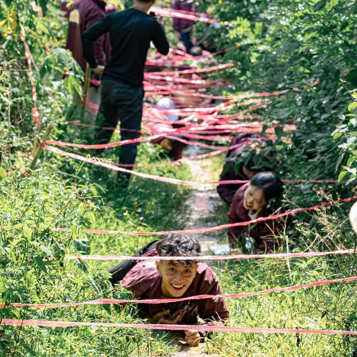 Des participants franchissent ensemble un parcours de cordes en forêt